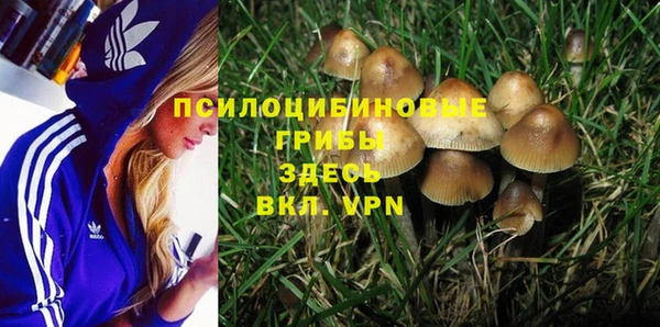 шишки Абдулино