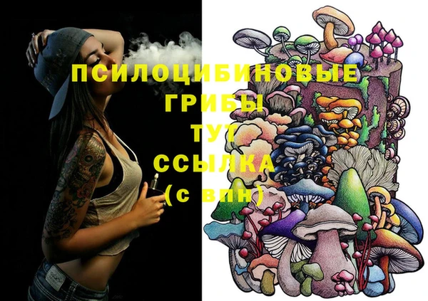сатива Россошь