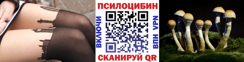 Псилоцибиновые грибы GOLDEN TEACHER  Нелидово 